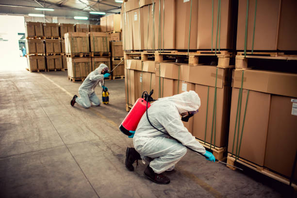 Pest Prevention Services in Hagaman, NY