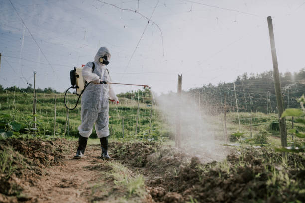 Best Pest Removal Services  in Hagaman, NY