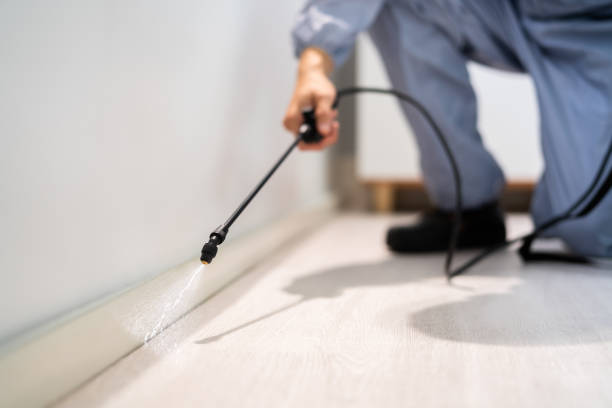 Wildlife Control Services in Hagaman, NY