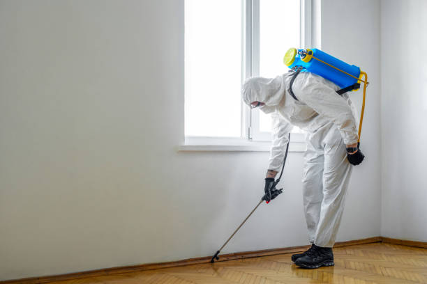 Best Spider Control Near Me  in Hagaman, NY