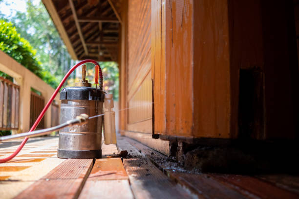 Best Wasp Removal Services  in Hagaman, NY
