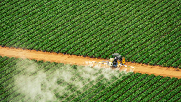Best Mosquito Control Services  in Hagaman, NY
