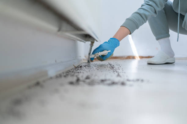 Best Affordable Pest Control Services  in Hagaman, NY